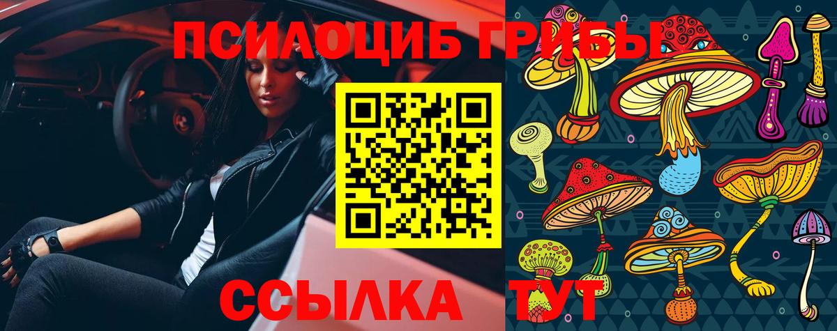 Псилоцибиновые грибы ЛСД Протвино
