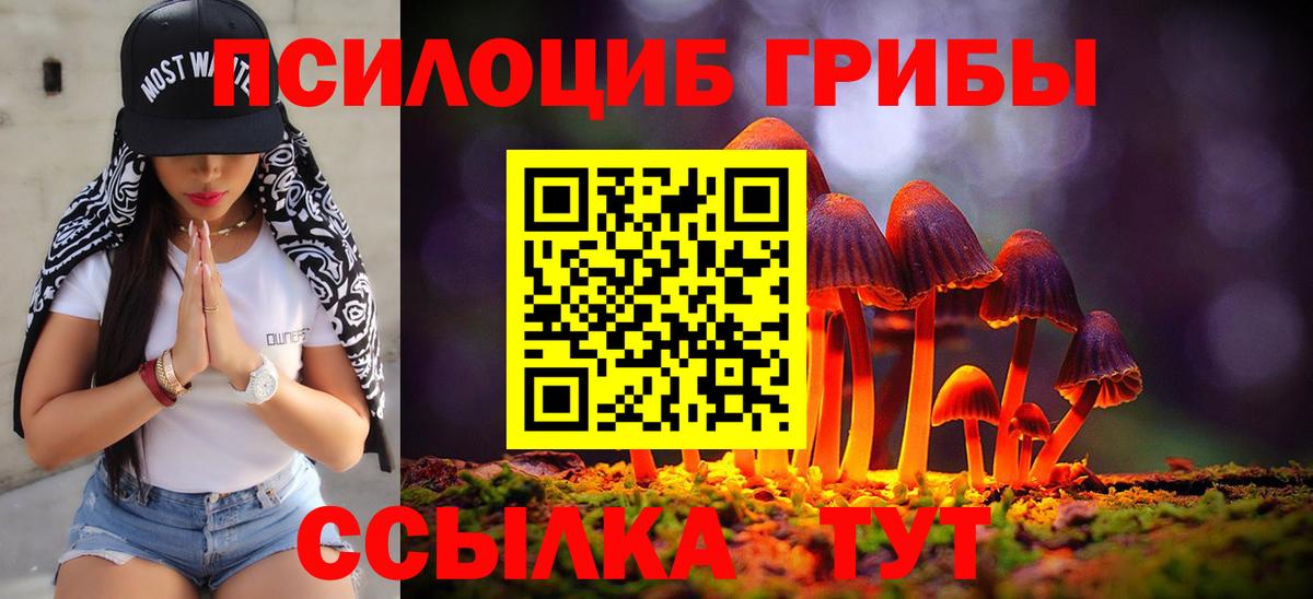 Протвино  Псилоцибиновые грибы Magic Shrooms  Псилоцибиновые грибы Cubensis  Вход с VPN 